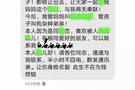 成县融资清欠服务